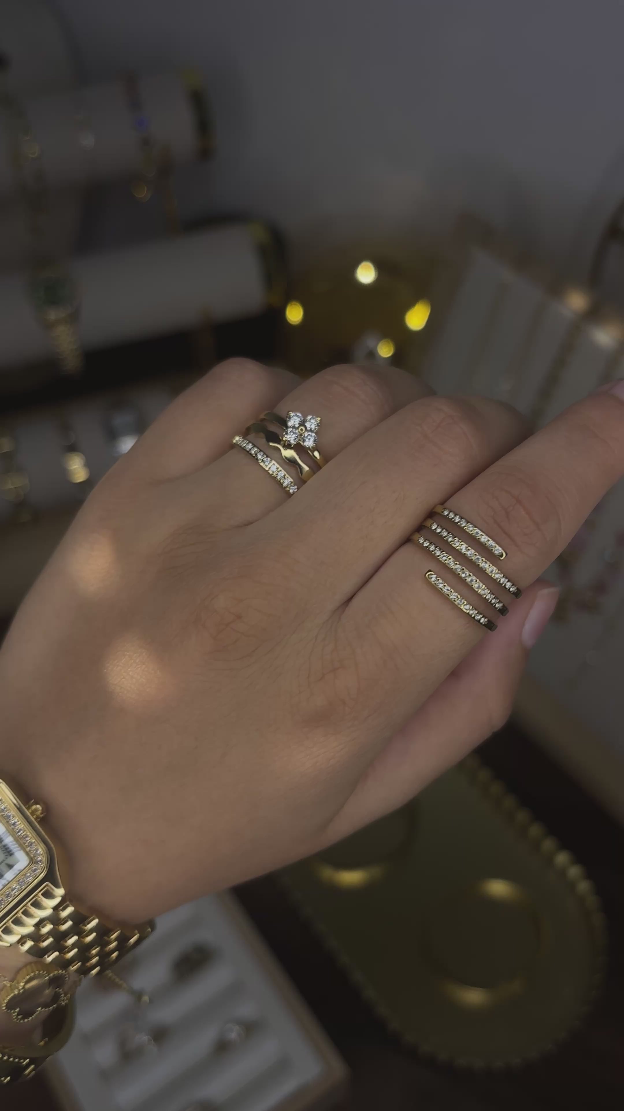 Charger la vidéo : 